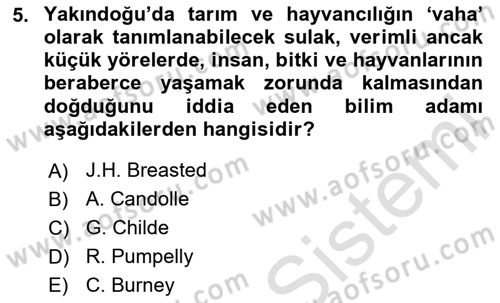 Eski Mezopotamya ve Mısır Tarihi Dersi 2025 - 2026 Yılı (Vize) Ara Sınav Soruları 5. Soru