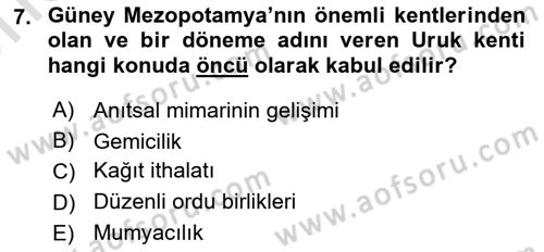 Eski Mezopotamya ve Mısır Tarihi Dersi 2025 - 2026 Yılı (Vize) Ara Sınav Soruları 7. Soru