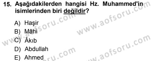 İslam Tarihi ve Medeniyeti 1 Dersi Ara Sınavı Deneme Sınav Soruları 15. Soru