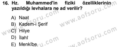 İslam Tarihi ve Medeniyeti 1 Dersi 2012 - 2013 Yılı (Vize) Ara Sınav Soruları 16. Soru