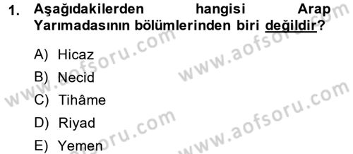 İslam Tarihi ve Medeniyeti 1 Dersi 2013 - 2014 Yılı (Vize) Ara Sınav Soruları 1. Soru