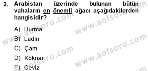 İslam Tarihi ve Medeniyeti 1 Dersi Ara Sınavı Deneme Sınav Soruları 2. Soru