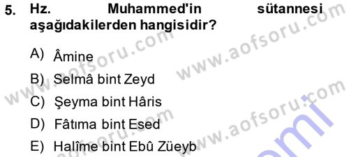İslam Tarihi ve Medeniyeti 1 Dersi Ara Sınavı Deneme Sınav Soruları 5. Soru