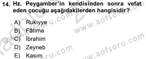 İslam Tarihi ve Medeniyeti 1 Dersi 2017 - 2018 Yılı (Vize) Ara Sınav Soruları 14. Soru