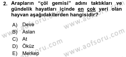 İslam Tarihi ve Medeniyeti 1 Dersi Ara Sınavı Deneme Sınav Soruları 2. Soru