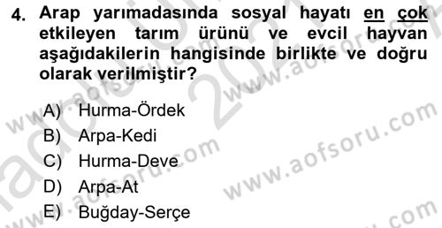 İslam Tarihi ve Medeniyeti 1 Dersi 2021 - 2022 Yılı (Vize) Ara Sınav Soruları 4. Soru