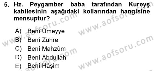 İslam Tarihi ve Medeniyeti 1 Dersi Ara Sınavı Deneme Sınav Soruları 5. Soru