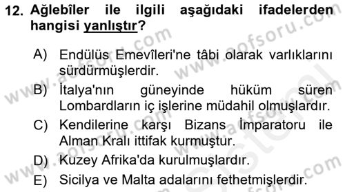 İslam Tarihi ve Medeniyeti 2 Dersi 2018 - 2019 Yılı (Vize) Ara Sınav Soruları 12. Soru