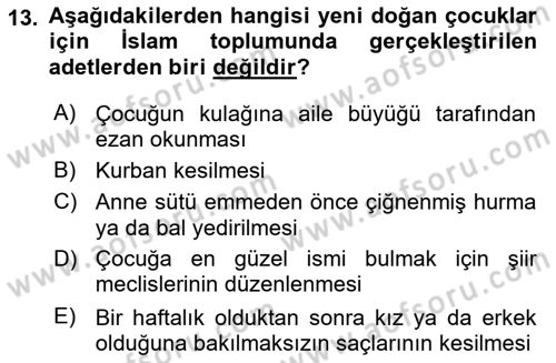 İslam Tarihi ve Medeniyeti 2 Dersi 2018 - 2019 Yılı (Final) Dönem Sonu Sınav Soruları 13. Soru