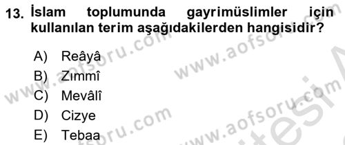 İslam Tarihi ve Medeniyeti 2 Dersi 2021 - 2022 Yılı Yaz Okulu Sınav Soruları 13. Soru