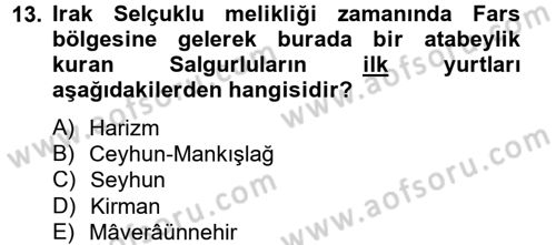 Büyük Selçuklu Tarihi Dersi 2012 - 2013 Yılı (Final) Dönem Sonu Sınav Soruları 13. Soru