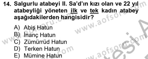 Büyük Selçuklu Tarihi Dersi 2012 - 2013 Yılı (Final) Dönem Sonu Sınav Soruları 14. Soru