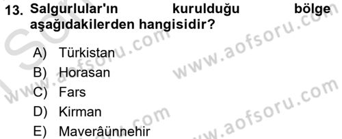 Büyük Selçuklu Tarihi Dersi 2016 - 2017 Yılı (Final) Dönem Sonu Sınav Soruları 13. Soru