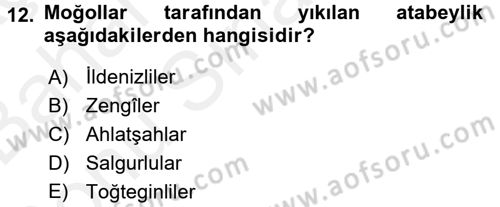 Büyük Selçuklu Tarihi Dersi 2017 - 2018 Yılı (Final) Dönem Sonu Sınav Soruları 12. Soru