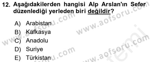 Büyük Selçuklu Tarihi Dersi 2018 - 2019 Yılı (Vize) Ara Sınav Soruları 12. Soru