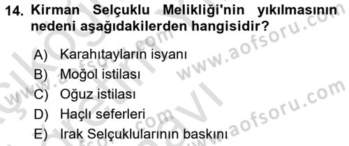 Büyük Selçuklu Tarihi Dersi 2024 - 2025 Yılı Yaz Okulu Sınav Soruları 14. Soru