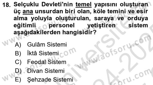 Büyük Selçuklu Tarihi Dersi 2024 - 2025 Yılı Yaz Okulu Sınav Soruları 18. Soru