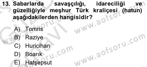 Orta Asya Türk Tarihi Dersi 2017 - 2018 Yılı (Vize) Ara Sınav Soruları 13. Soru