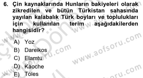 Orta Asya Türk Tarihi Dersi 2019 - 2020 Yılı (Vize) Ara Sınavı 6. Soru