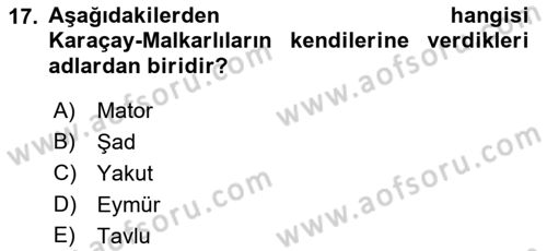 Orta Asya Türk Tarihi Dersi 2019 - 2020 Yılı (Final) Dönem Sonu Sınav Soruları 17. Soru