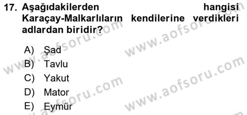 Orta Asya Türk Tarihi Dersi 2022 - 2023 Yılı (Final) Dönem Sonu Sınav Soruları 17. Soru