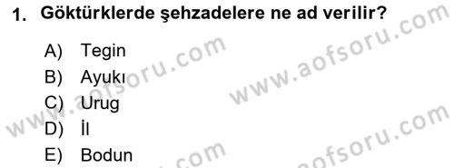 Orta Asya Türk Tarihi Dersi Ara Sınavı Deneme Sınav Soruları 1. Soru