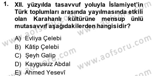 İlk Müslüman Türk Devletleri Dersi 2013 - 2014 Yılı (Vize) Ara Sınav Soruları 1. Soru