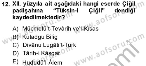 İlk Müslüman Türk Devletleri Dersi 2013 - 2014 Yılı (Vize) Ara Sınav Soruları 12. Soru