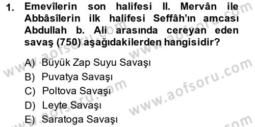 İlk Müslüman Türk Devletleri Dersi 2014 - 2015 Yılı (Vize) Ara Sınav Soruları 1. Soru