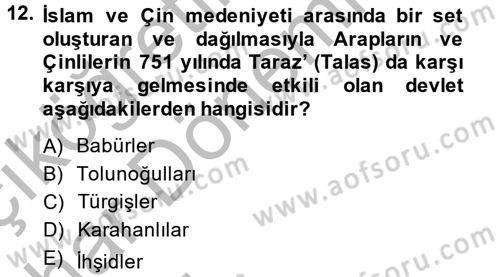 İlk Müslüman Türk Devletleri Dersi 2014 - 2015 Yılı (Vize) Ara Sınav Soruları 12. Soru