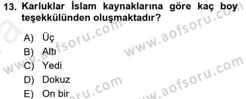 İlk Müslüman Türk Devletleri Dersi 2015 - 2016 Yılı (Vize) Ara Sınav Soruları 13. Soru