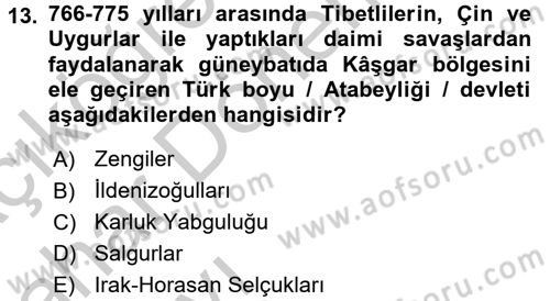 İlk Müslüman Türk Devletleri Dersi 2016 - 2017 Yılı (Vize) Ara Sınav Soruları 13. Soru