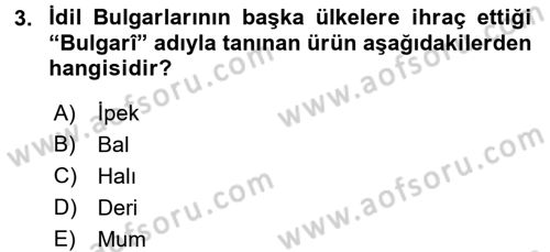 İlk Müslüman Türk Devletleri Dersi 2016 - 2017 Yılı (Final) Dönem Sonu Sınav Soruları 3. Soru