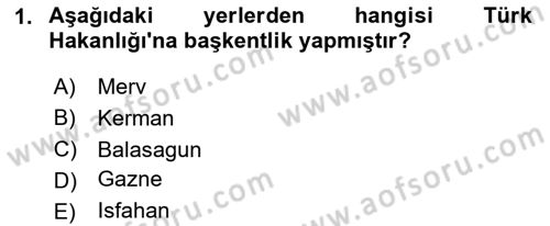 İlk Müslüman Türk Devletleri Dersi 2023 - 2024 Yılı (Final) Dönem Sonu Sınav Soruları 1. Soru