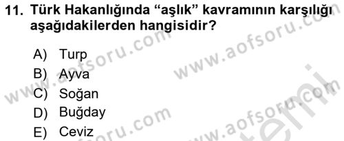 İlk Müslüman Türk Devletleri Dersi 2023 - 2024 Yılı (Final) Dönem Sonu Sınav Soruları 11. Soru
