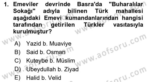 İlk Müslüman Türk Devletleri Dersi 2024 - 2025 Yılı (Vize) Ara Sınav Soruları 1. Soru