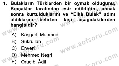 İlk Müslüman Türk Devletleri Dersi 2024 - 2025 Yılı (Final) Dönem Sonu Sınav Soruları 1. Soru