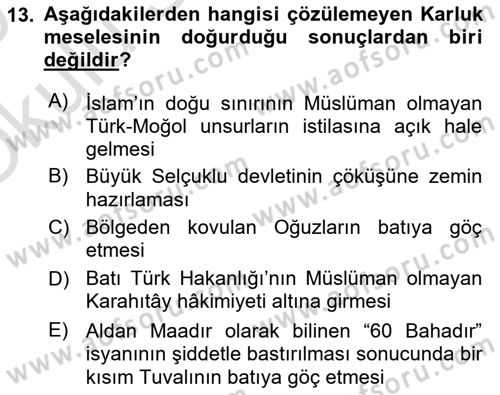 İlk Müslüman Türk Devletleri Dersi 2024 - 2025 Yılı Yaz Okulu Sınav Soruları 13. Soru