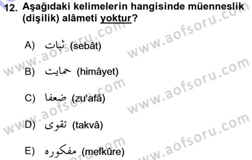 Osmanlı Türkçesi 1 Dersi 2015 - 2016 Yılı (Final) Dönem Sonu Sınav Soruları 12. Soru