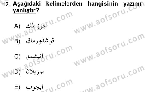 Osmanlı Türkçesi 1 Dersi 2016 - 2017 Yılı (Vize) Ara Sınav Soruları 12. Soru