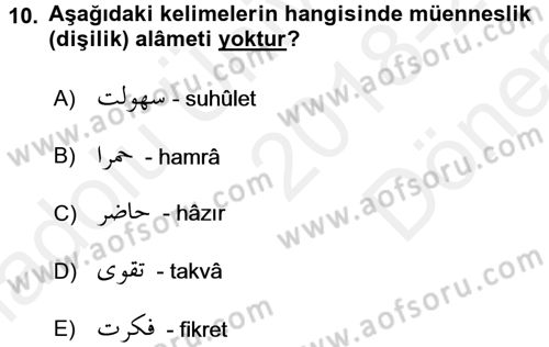 Osmanlı Türkçesi 1 Dersi 2018 - 2019 Yılı (Final) Dönem Sonu Sınav Soruları 10. Soru