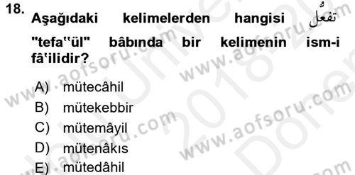 Osmanlı Türkçesi 1 Dersi 2018 - 2019 Yılı (Final) Dönem Sonu Sınav Soruları 18. Soru