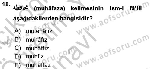 Osmanlı Türkçesi 1 Dersi 2018 - 2019 Yılı Yaz Okulu Sınav Soruları 18. Soru