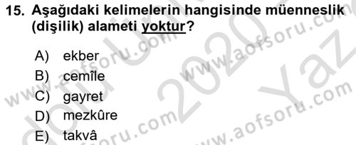 Osmanlı Türkçesi 1 Dersi 2020 - 2021 Yılı Yaz Okulu Sınav Soruları 15. Soru