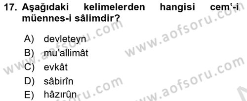 Osmanlı Türkçesi 1 Dersi 2021 - 2022 Yılı (Final) Dönem Sonu Sınavı 17. Soru