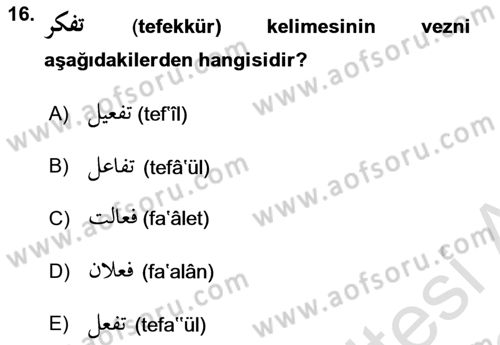 Osmanlı Türkçesi 1 Dersi 2021 - 2022 Yılı Yaz Okulu Sınav Soruları 16. Soru