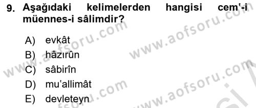 Osmanlı Türkçesi 1 Dersi 2021 - 2022 Yılı Yaz Okulu Sınav Soruları 9. Soru