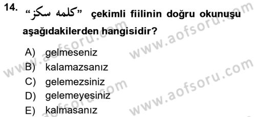 Osmanlı Türkçesi 1 Dersi 2022 - 2023 Yılı (Vize) Ara Sınavı 14. Soru