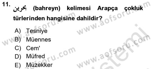 Osmanlı Türkçesi 1 Dersi 2022 - 2023 Yılı (Final) Dönem Sonu Sınav Soruları 11. Soru
