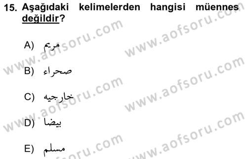 Osmanlı Türkçesi 1 Dersi 2022 - 2023 Yılı (Final) Dönem Sonu Sınavı 15. Soru